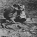Mysteriöse Kriminalfälle der DDR