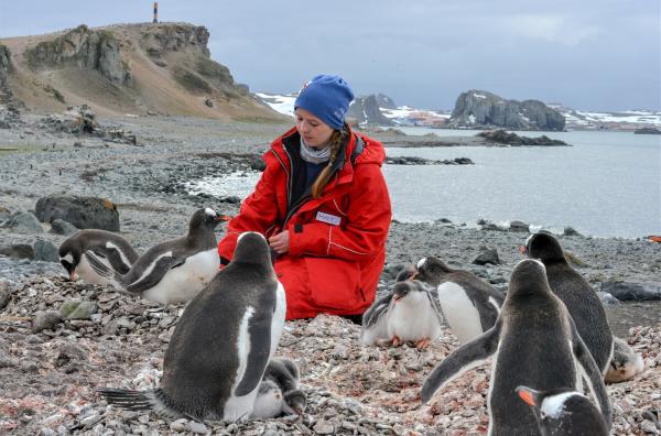 Bild 1 von 7: Marie-Charlott Rümmler bei einem wissenschaftlichen Experiment auf der Insel der Pinguine