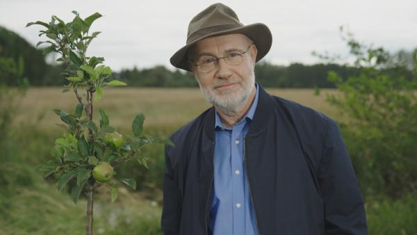 Bild 1 von 7: Wenn es um das Klima geht, reden alle davon, Bäume zu pflanzen. Begangene Umweltsünden wie zum Beispiel eine Flugreise in ferne Länder könnten wir kompensieren, indem wir zusätzlich Bäume pflanzten. Doch wie sinnvoll sind solche Projekte wirklich?