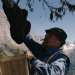 More than Honey - Bitterer Honig
