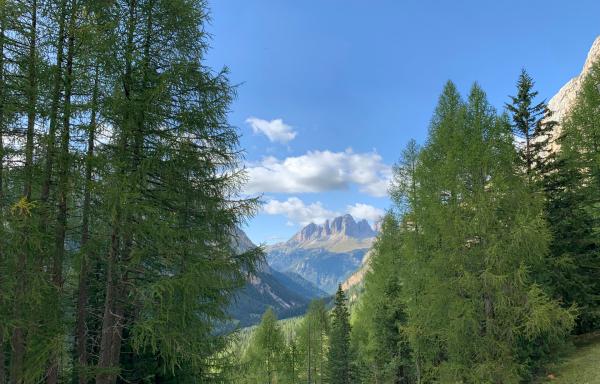 Bild 1 von 5: Das Fassatal in den Dolomiten.