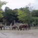 Von Tieren und Menschen - Tiergarten Schönbrunn