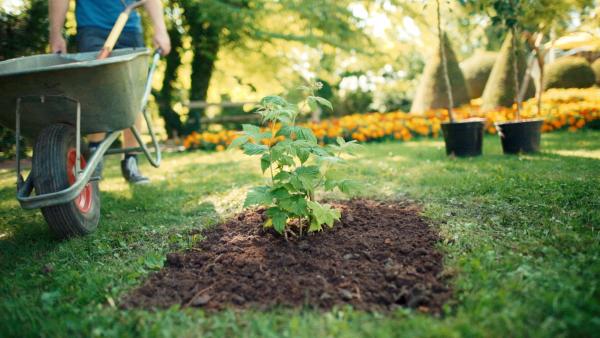 Bild 1 von 13: GartenKULT