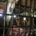 Hinter Gittern - South Cotabato Jail auf den Philippinen