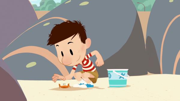 Bild 1 von 5: Nick sammelt am Strand Krabben.
