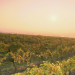 Weinviertel - Weites Land