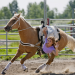 Heartland - Paradies für Pferde