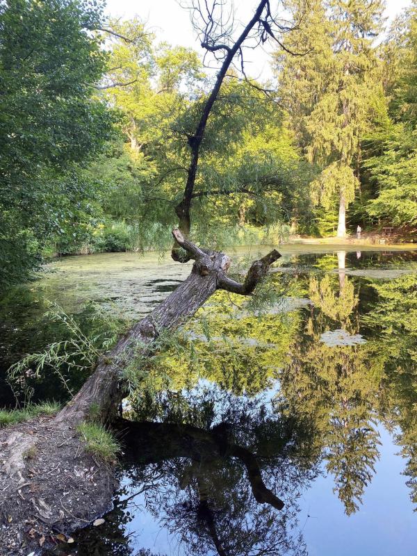 Bild 1 von 5: Im Bild: Kreuzbergl-Teich.