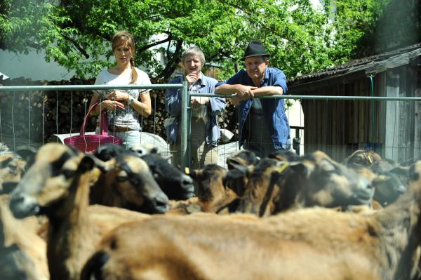 Bild 1 von 9: Xaver, Schattenhofer und Trixi sorgen sich um die erkrankten Schafe. Von links: Trixi Preissinger (Doreen Dietel), Xaver (Michael Schreiner) und Lorenz Schattenhofer (Werner Rom).