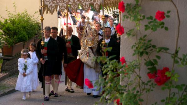 Bild 1 von 8: .