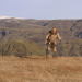 Beowulf & Grendel