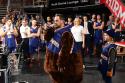 Sat1 22:35: Caveman