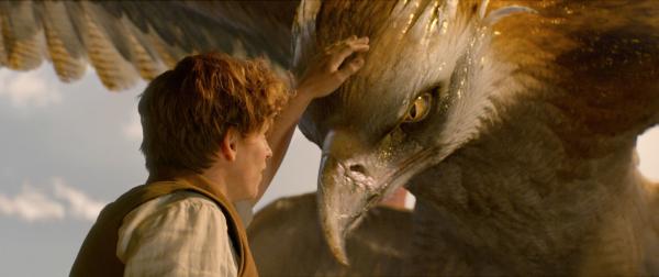Bild 1 von 8: EDDIE REDMAYNE as Newt Scamander and a beast called a Thunderbird in Warner Bros. Pictures' fantasy adventure \