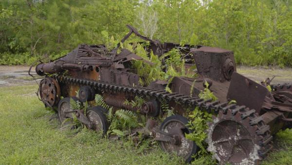 Bild 1 von 3: Während des zweiten Weltkriegs wurde die kleine Insel Peleliu zum Austragungsort einer grausamen Schlacht. Mehr als 12.000 US-amerikanische und japanische Soldaten verloren dort ihr Leben.