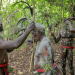 Vanuatu - Vom Bewahren alter Bräuche