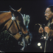 Dr. Dolittle