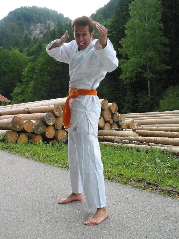 Bild 1 von 7: Willi glaubt, er könne mit Karate versuchen, Holz zu spalten.