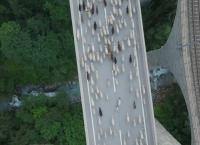 Wilder Rhein - Der berühmte Unbekannte