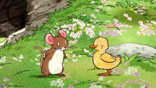 Bild 1 von 7: Die kleine Feldmaus fragt sich, was das für ein gelbes Tier ist, das ihr gegenüber steht.© KiKA/SLR Productions Australia Pty.Ltd./Scrawl Studios Pte Ltd./hr/ARD - Honorarfreie Verwendung gemäß AGB im redaktionellen Zusammenhang mit genannter Sendung bei Nennung \