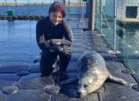 Harte Hunde - Die Urlaubsvertretung