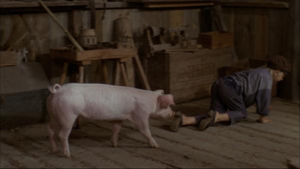 Bild 1 von 3: Michel (Jan Ohlsson) ist fleißig dabei, dem Schwein Kunststücke beizubringen.