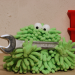 Wisch & Mop