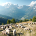 Land der Berge