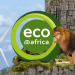Eco Africa