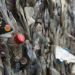 Coca-Cola und das Plastikproblem
