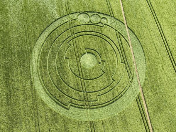 Bild 1 von 3: Es gibt über 10.000 Meldungen von Kornkreisen aus 50 verschiedenen Ländern. Diese seltsamen Gebilde können einfache Kreise sein, aber auch komplexe Formen von immenser Größe vorweisen. Die Phänomene werden mit wissenschaftliche Absonderheiten, merkwürdigen Lichtern und UFO-Landungen in Verbindung gesetzt.