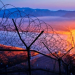 Im Niemandsland - Was Korea teilt