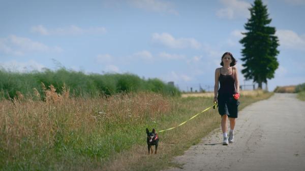 Bild 1 von 7: Ob die Fahrt mit dem Schulbus oder die tägliche Runde mit dem Hund: Die Bewegungen der Schülerin Emma lassen sich über Handy-Standortdaten präzise nachvollziehen.