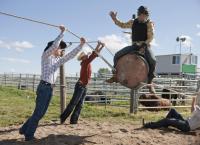 Heartland - Paradies für Pferde