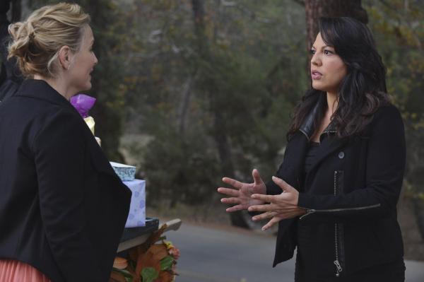 Bild 1 von 30: Während sich April für Jackson entschieden hat, scheint Arizona (Jessica Capshaw, l.) ihrer Ehe mit Callie (Sara Ramirez, r.) keine Chance mehr zu geben. Doch ist das letzte Wort wirklich gesprochen?