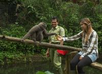 Anna und die wilden Tiere