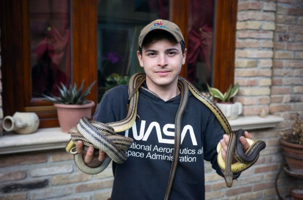 Bild 1 von 3: Hauptsache Natter: Serparo (Schlangenfänger) Gianluca Ricci, 19, fängt die ungiftigen Schlangen für das Fest ein.
