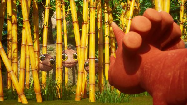 Bild 1 von 5: Ginger will die Baby-Kokosnussodons aus ihrem Laufstall holen.