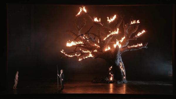 Bild 1 von 7: Im Bild: Der große Baum ist das zentrale visuelle Element in Barrie Koskys \