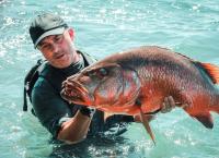 Chasing Monsters - Monsterfischen auf der Spur