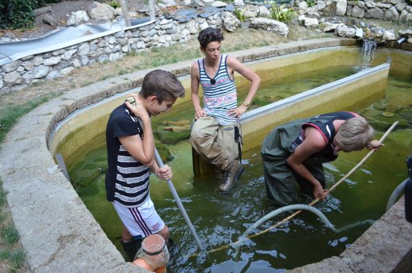 Bild 1 von 5: Robin, Leroy und Ole fangen Forellen.