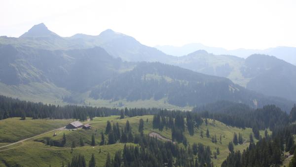 Bild 1 von 14: .