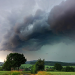 Der Sturm - Tiere bei Blitz und Donner