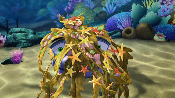 Bild 1 von 3: Über und über mit Seetang bedeckt, wird Skid von seinen Freunden für ein Seeungeheuer gehalten.