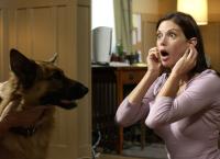 Desperate Housewives