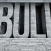 Bull