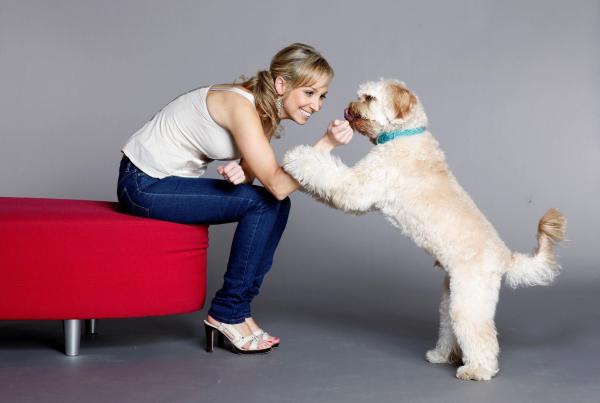 Bild 1 von 12: Zu Dr. Lisa Chimes' Patienten gehören nicht nur Hunde und Katzen. Sie behandelt exotische Papageien, in Not geratene Delfine, giftige Schlangen und alles, was Down Under kreucht und fleucht ...