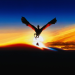 Dragonheart