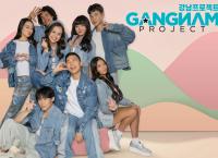 Gangnam Project