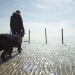 Die geheime Welt der Hunde
