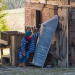 Bild 8